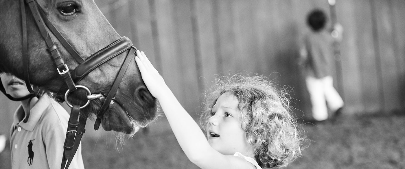 pony-club